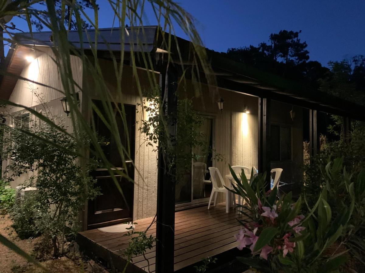 Cabanas Del Este Sauce de Portezuelo Exteriér fotografie
