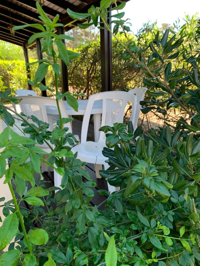 Cabanas Del Este Sauce de Portezuelo Exteriér fotografie